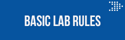 Basic Lab Rules Button and Link